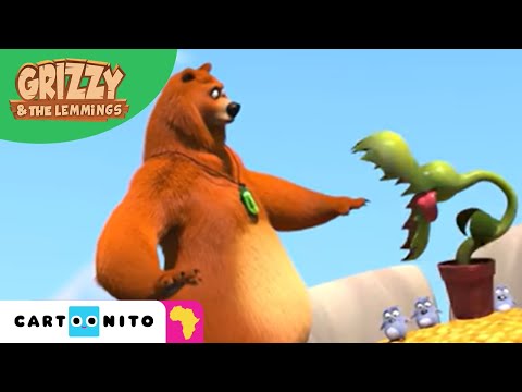 Grizzy And The Lemmings | Lemming Plant | Cartoonito Africa