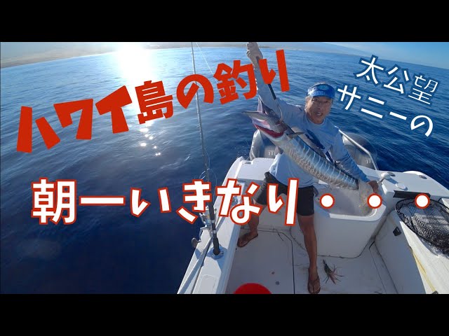 島を釣る I tried fishing at the cave-like estuary of Okinoerabu