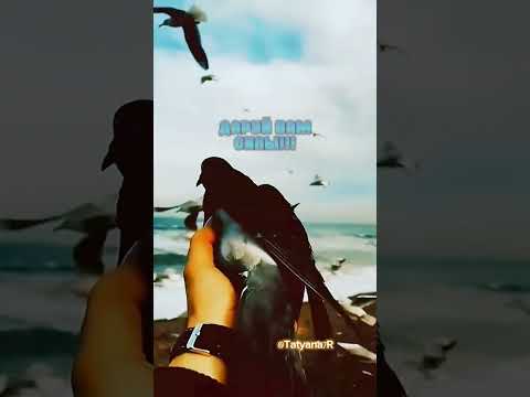 Мысли и чувства. 💓😢 💓Храни нас, Боже! Дай Бог - всегда Людьми нам оставаться! 🙏🙏🙏 23 марта 2024 г.