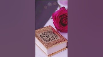 سورة النازعات بصوت جميل