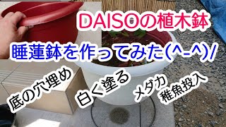 DAISOの植木鉢でオシャレな睡蓮鉢作ってみた(^-^)/