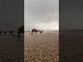 بردية الدعيكة جنوب غرب عفيف السعودية الثلاثاء 14 4 2026