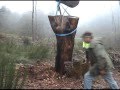LES ARBRES REDRESSES