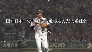 【オープン戦】阪神 vs オリックス｜開幕１週間前に日本シリーズの再戦！38年ぶり日本一から球団史上初の連覇を狙う阪神とリーグ4連覇を狙うオリックスとの因縁決戦