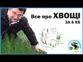 Все про ХВОЩІ за 8 хв | Клас ХВОЩЕПОДІБНІ | Equizetopsida