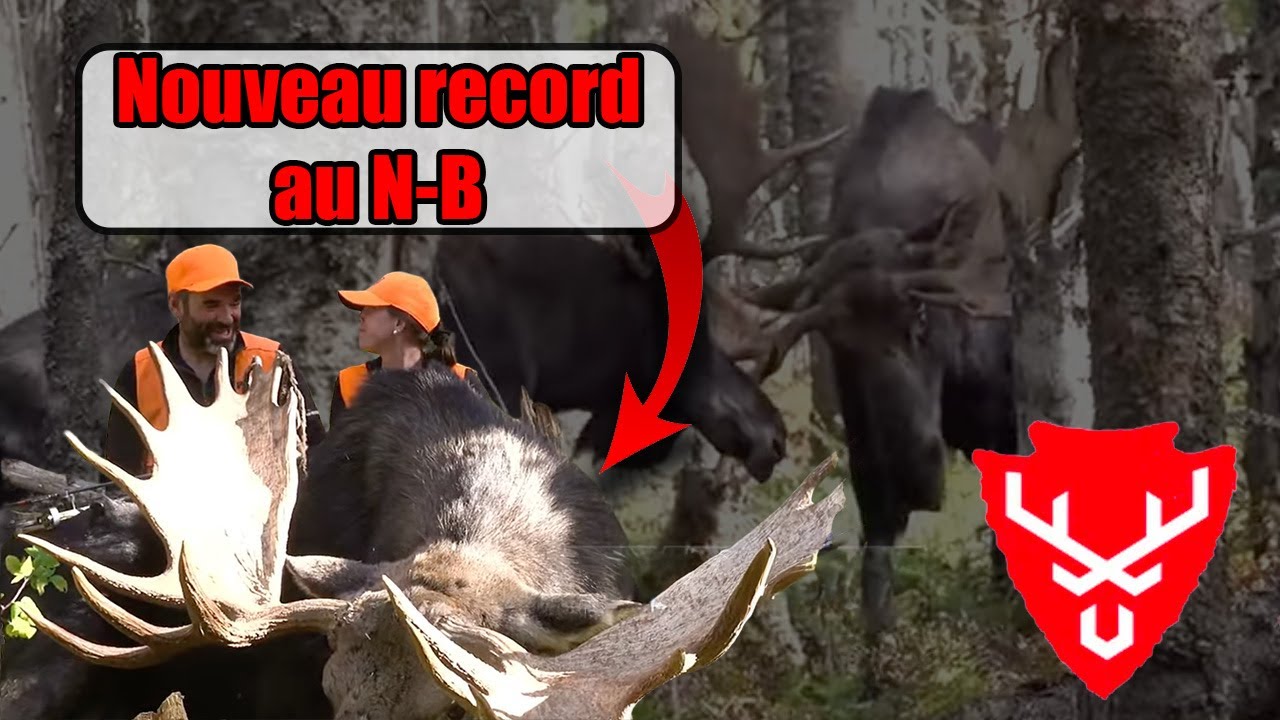Record arc Orignal aux Nouveaux-Brunswick-Émission Bête de Chasse RDS du 11 janvier 2026- Épisode 1