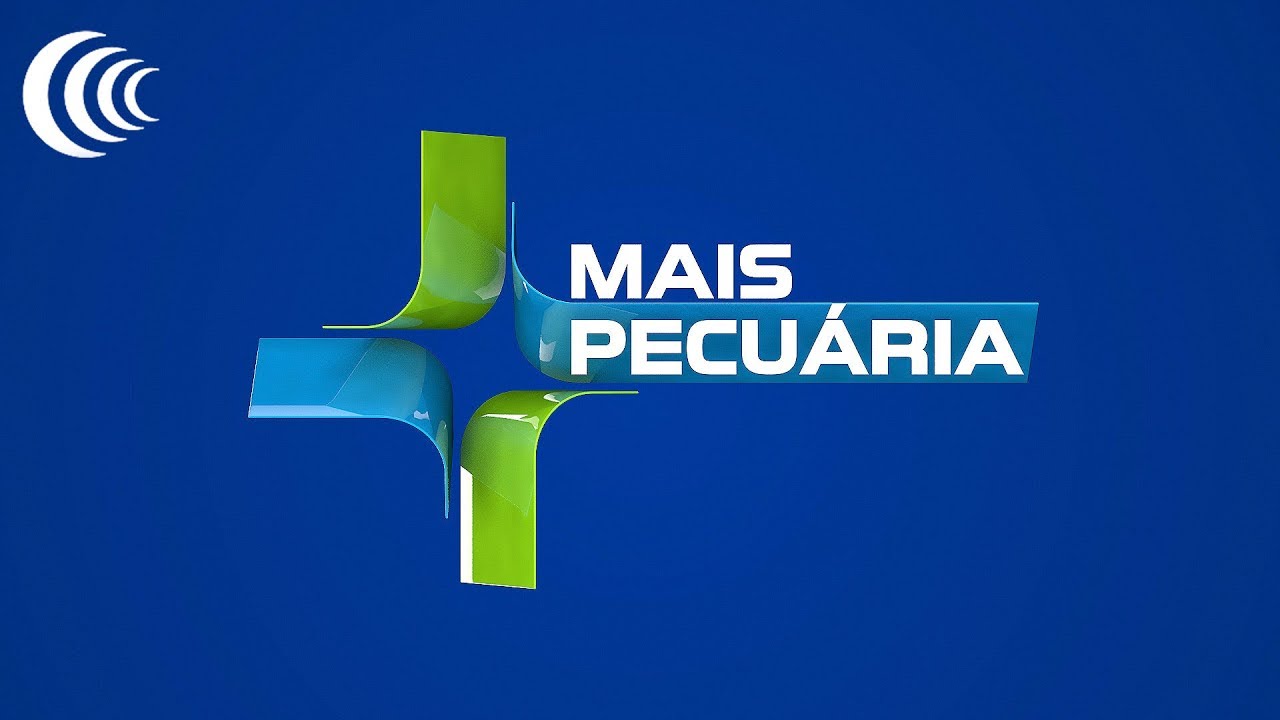 Balizador de preços do GPB - YouTube