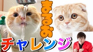 【難関】まるおかまるおじゃないかチャレンジ