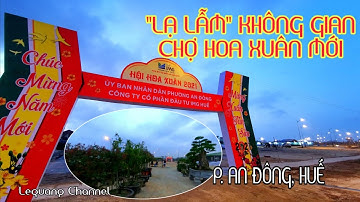 KHÔNG GIAN CHỢ HOA MỚI TẾT TÂN SỬU Ở HUẾ "THOÁNG MÀ LẠ" | Lequang Channel