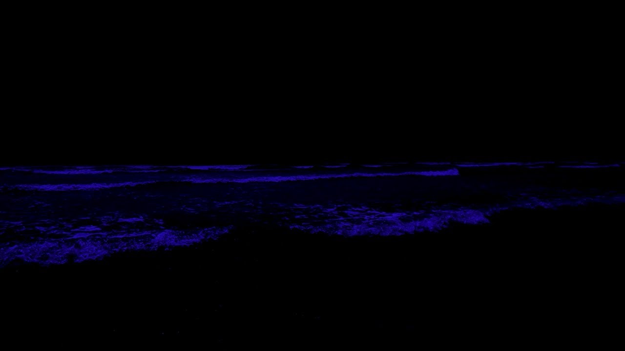 No Ads Remove Insomnia Forever • High Quality Stereo To Fall Asleep With Ocean Waves In Quiet Night