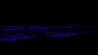 No Ads Remove Insomnia Forever • High Quality Stereo To Fall Asleep With Ocean Waves In Quiet Night