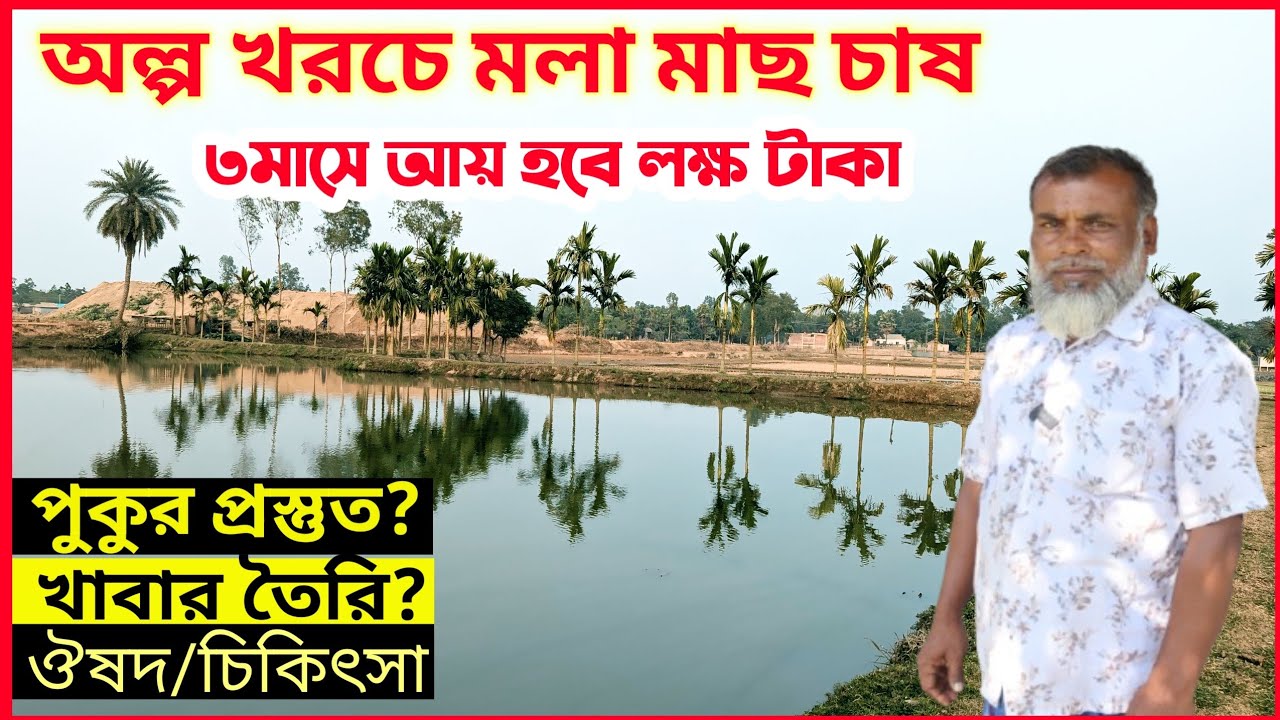 কিভাবে অল্প সময়ে বিনা খরচে মলা চাষ করবেন। মলা মাছ চাষ পদ্ধতি। #মলা_মাছের_রেণু।#মধুপুর_এগ্রো।#মলা_মাছ