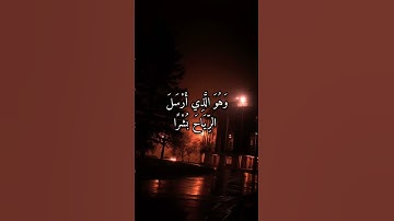 القارئ ؛ أنس المالك 🌺 صاحب الصوت الشجي الخاشع 💝