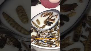 Что если бы исчезли ВСЕ МУХИ?#мухи#экология#наука#удивительныефакты