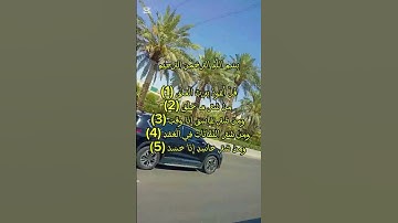 #سورة_الفلق #اكسبلور #تيك_توك #البرزخ #duet #الرحمن #لايك #المراه #ترند #دحمان #villagelife
