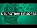 Neurotransmisores