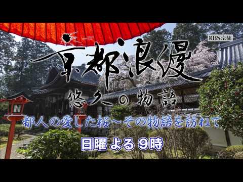 【番宣】KBS京都テレビ「京都浪漫　悠久の物語」｜第49回　都人の愛した桜～その物語を訪ねて