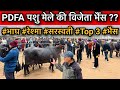 PDFA मेले की विजेता कौन ?? नया चहरा उभरा । #PDFA #Milking