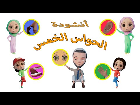 أنشودة الحواس الخمس أنا إنسان لي إحساس 