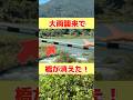 沈下橋が濁流に沈む…！ビフォーアフター