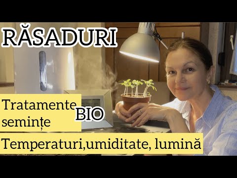 Cum tratam BIO semintele? Conditii ideale pentru rasaduri in casa