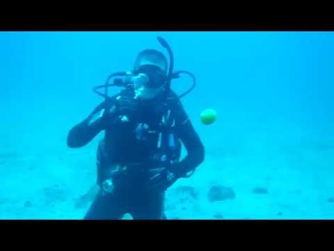 Go Dive Videos | Deep Diver egg trick