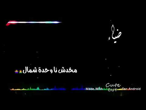 حالات واتس بما انو الحب غرام حمو بيكا من مهرجان نا عيني ع التانتو 