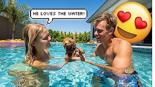 OUR PUPPIES FIRST SWIM LESSON! *GOLDEN DOODLE*