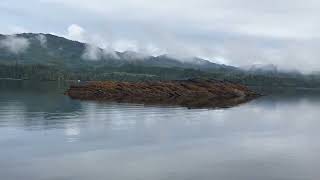 Misty Alaska, Ketchikan, September 5, 2023