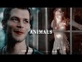 Tvd , To & Legacies | Animals