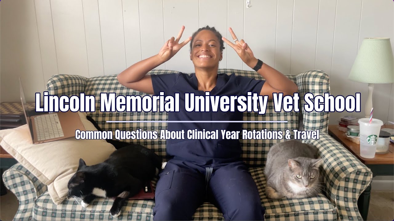 questions-i-get-asked-about-lincoln-memorial-s-clinical-year-cvm