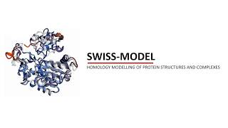 SWISS MODEL - function, methods and example