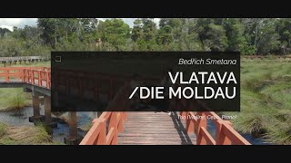 Smetana: Vltava, Die Moldau