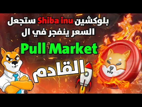 عملة شيبا اينو الي قاع جديد 🔴 ثم 🚀🔥 انفجار يصل الي 3777.95% - Shiba inu coin