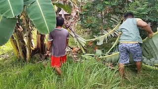 VID20210328071045 part5 03-28-2021