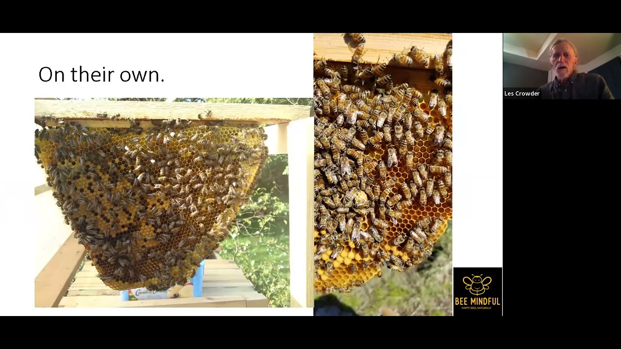 U.S. Top Bar Beekeepers Association