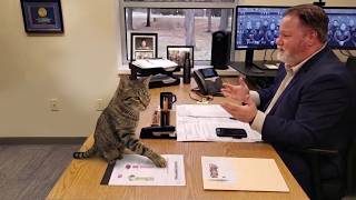 When God gave me a genius cat, it's never boring! 😲