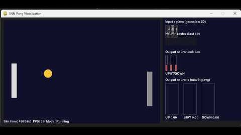 Spiking Neural Network with Calcium playing pong