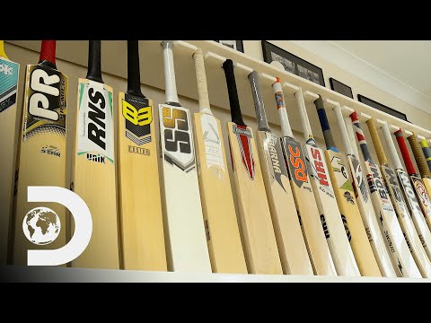 Video: Jimini kriket deməkdir?