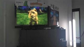 Microsoft Xbox Kinect Kinectimals Hands-On