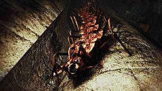 pokud ZASTAVÍM = SEŽERE mě!