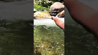 The clearest water streams of Tirthan Valley♥️ tirthanvalley nature