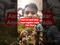 aam ka paudha lekar aaya lagaya lagaya lagaya lagaya aur bad mein Kha Raha Hai aam #funny #monkeysr