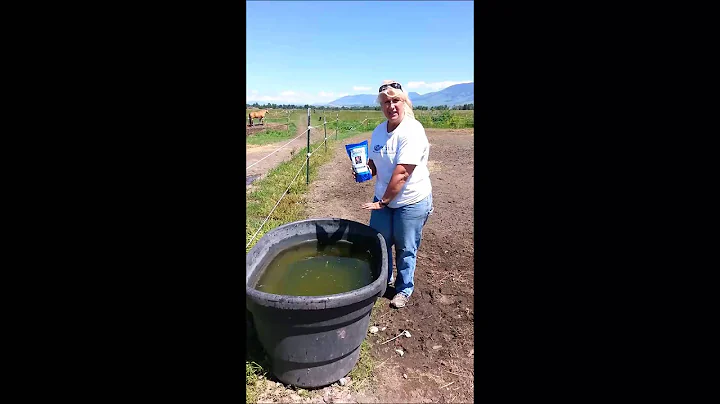 How to Keep your Stock Tank SCUM FREE!