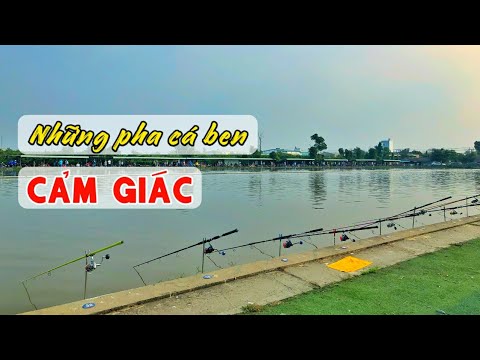 Những Pha Cá Ben Thẳng Cần Cực Kỳ Cảm Giác | Câu Cá Giải Trí | Chung Nguyễn Fishing