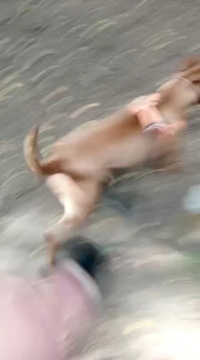 youtube.com