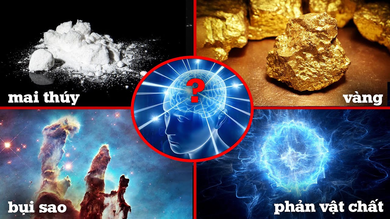 Mai Thúy, Bụi Sao, Phản Vật Chất & Những Chất Cấm Luôn Có Sẵn Trong Cơ Thể Bạn!