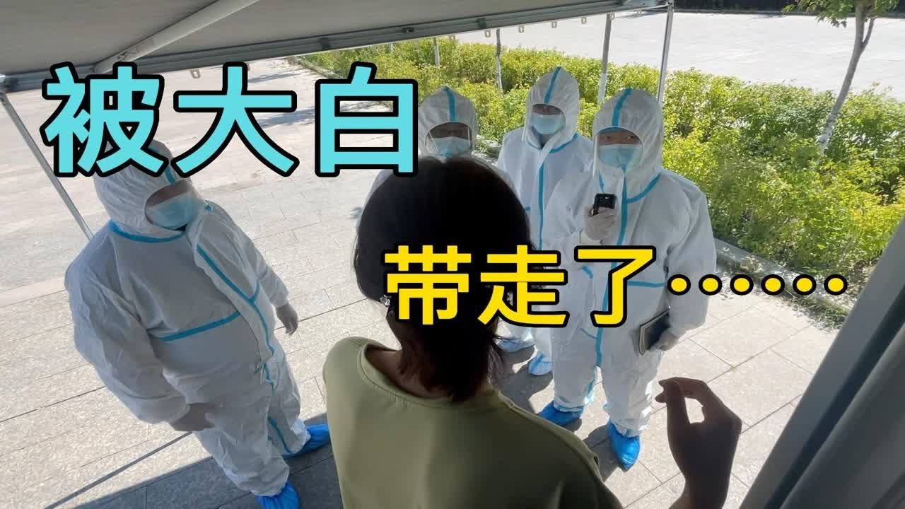 房车旅行在新疆被敲门声惊醒,我们静态了好些天但还是跟大白走了 - YouTube