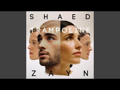 Hear Join Shaed on Duet Version of 'Trampoline' Rolling Stone