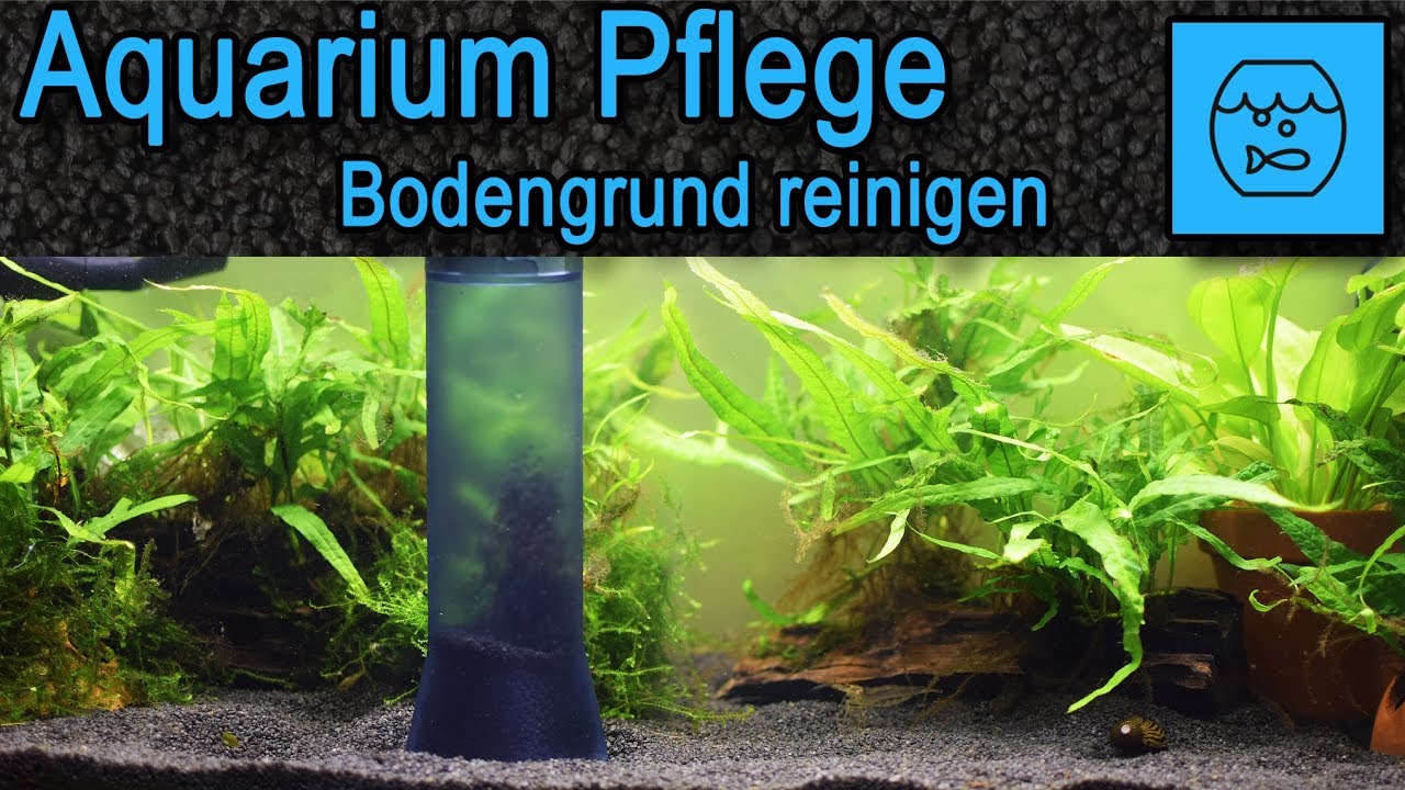 Aquarium Wasser Wechseln Pumpe